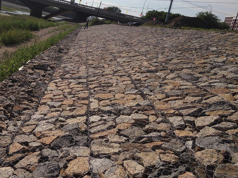 雷山縣雷諾護(hù)墊