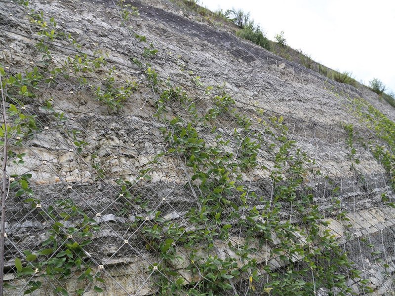 主動防護網(wǎng)