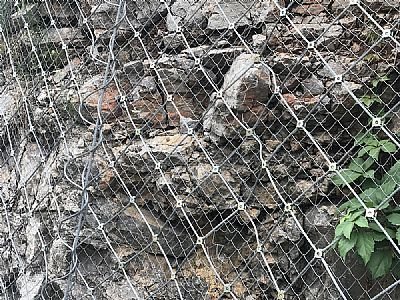 GPS1主動防護網(wǎng)