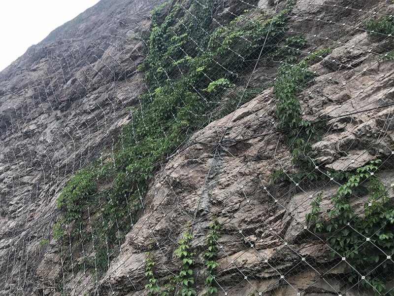 GPS1主動(dòng)防護(hù)網(wǎng)