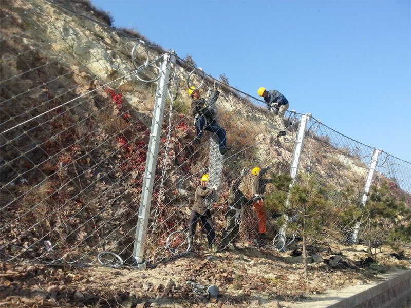 RX菱形被動(dòng)防護(hù)網(wǎng)